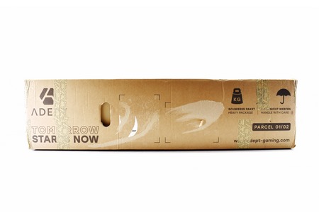 adept holo alpine esports review 1t