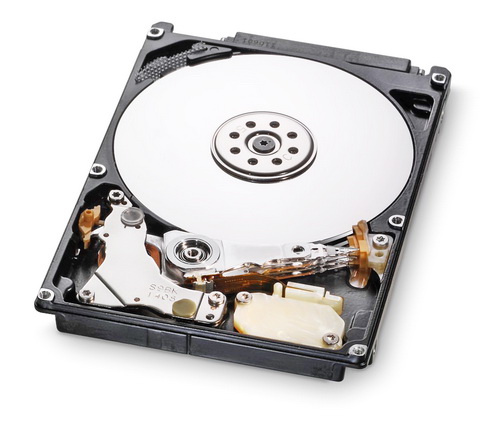 hgst 7k1000b