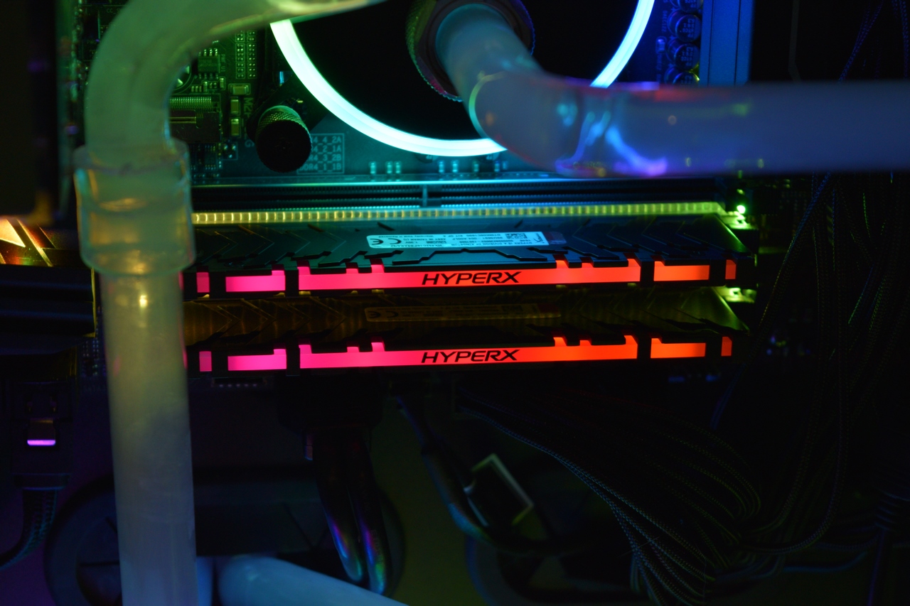 Hyperx sales predator rgb