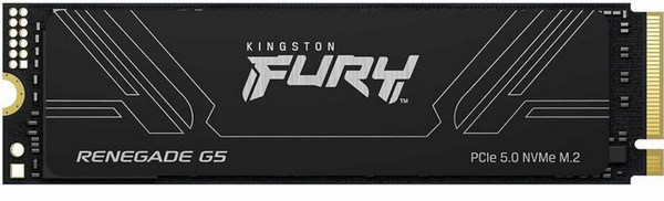 kingston fury renegade g5 2tb review b