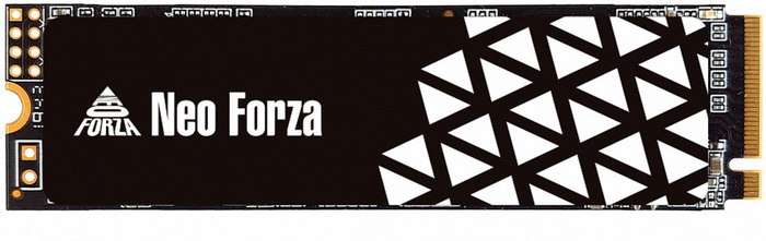 neo forza nfp445 1tb review b