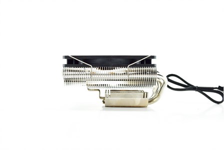 reeven brontes 13t