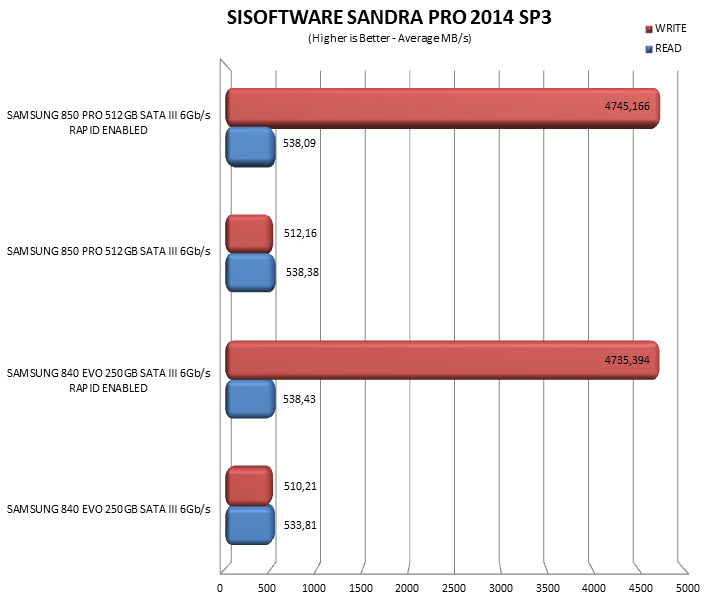 sandraprorapid