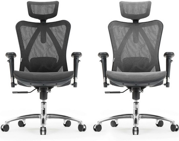 Sihoo M57 Ergonomic Chair